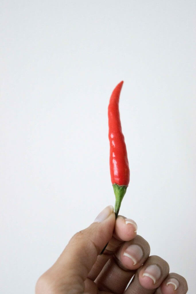 Red Thai chile peppers